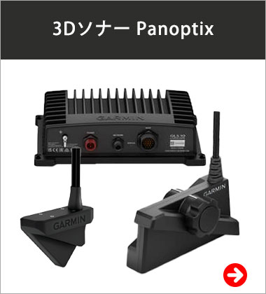 3Dʡ Panoptix