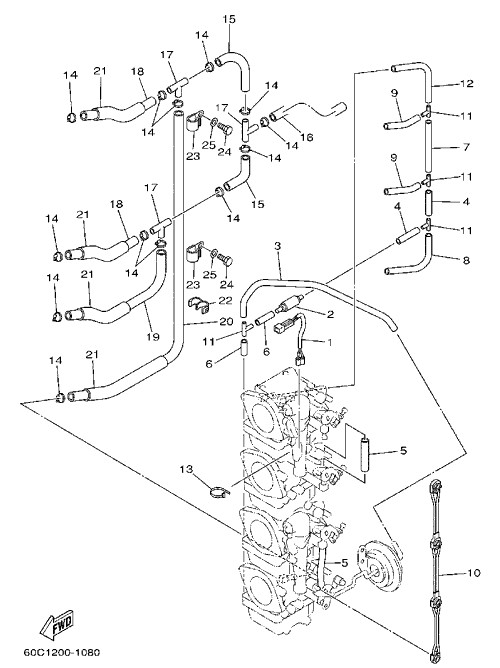 �����̎ގڎ� 2