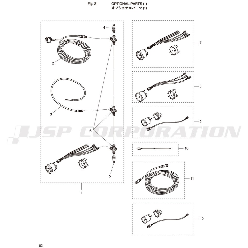 ���̎ߎ����Ŏَʎߎ���(1)