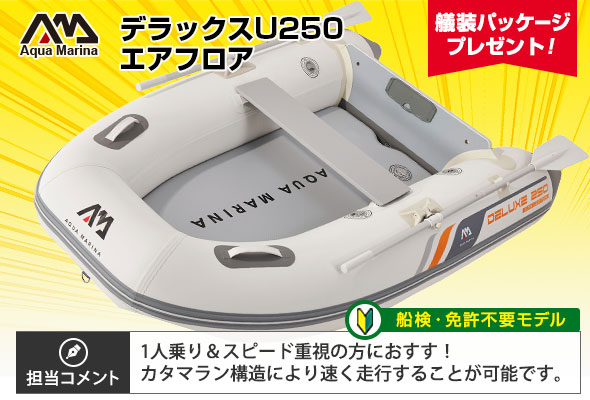 BT-UD250