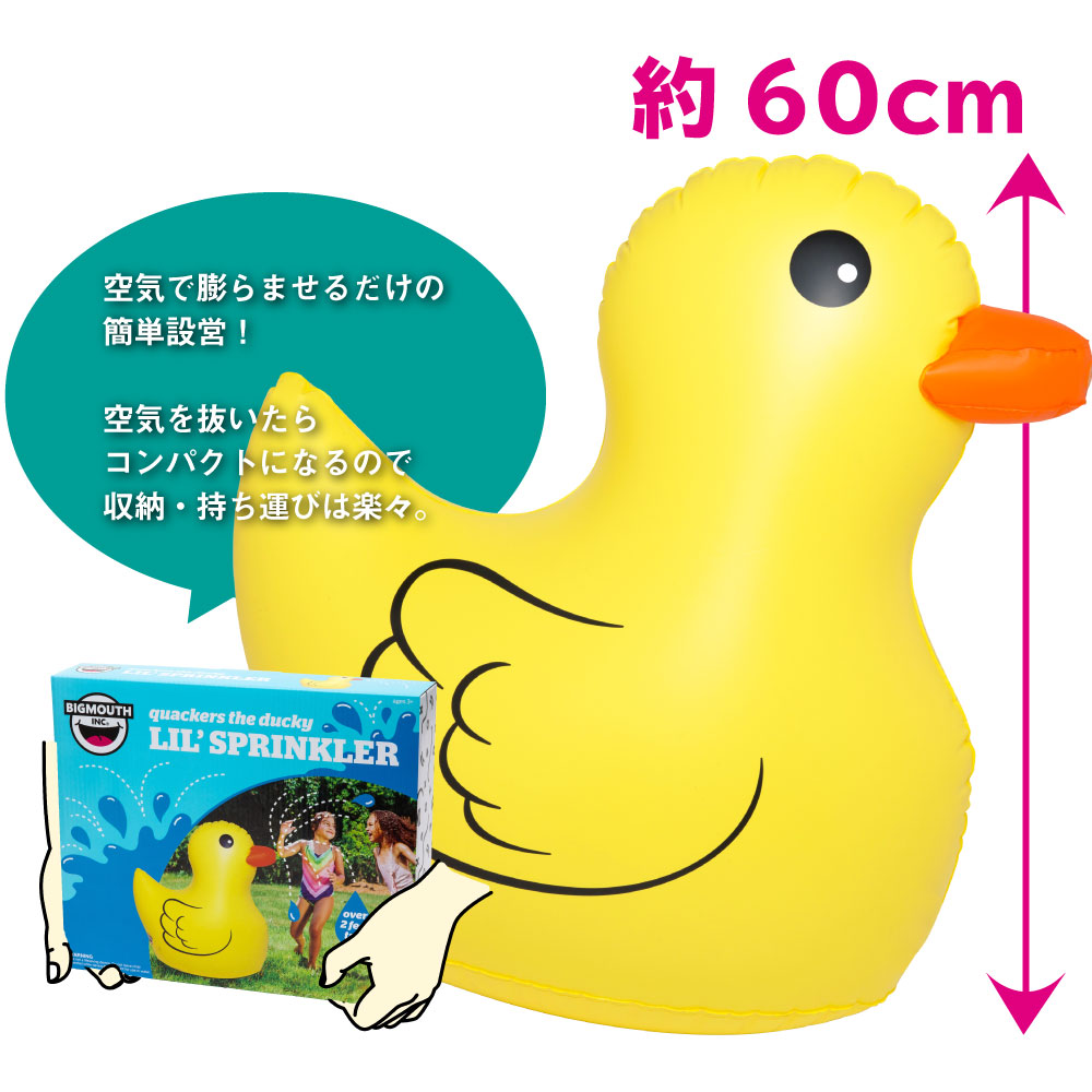 ȴ饳ѥȤˤʤǼӳڡ