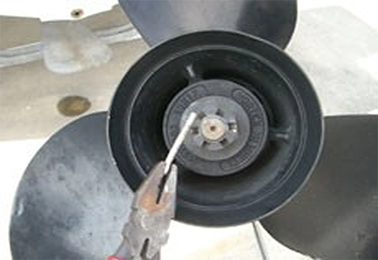 ����������������ɥ饤�֤μ��