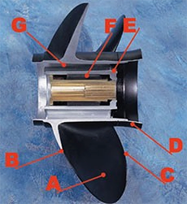 �ץ��ڥ��̾��