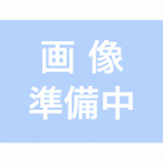 KZ-318400_1.gif