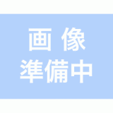 �Хåƥ꡼�����å�