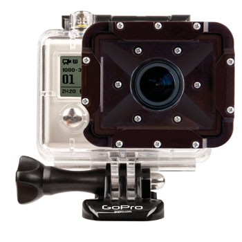 ��������°���ޤ���