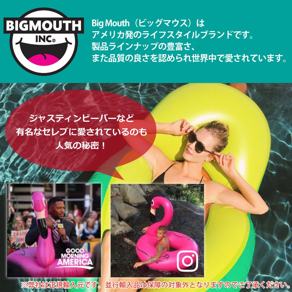 プールフロート ピンクフラミンゴ 直径約1cm Big Mouth ビッグマウス ネオネットマリン通販